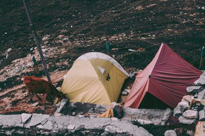 High angle view of tent on field