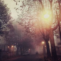 Illuminated street light at night