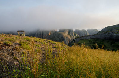 Scenic view of landscape against sky