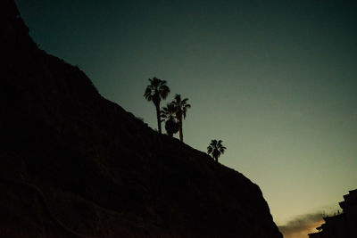 Low angle view of silhouette tree against clear sky