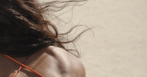 Rear view of woman with tousled hair at beach