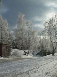 Bare trees by road against cloudy sky