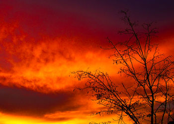 Low angle view of silhouette bare tree against dramatic sky