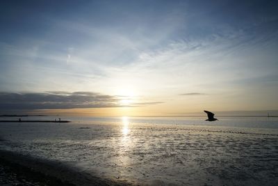 Silhouette person on beach against sky during sunset