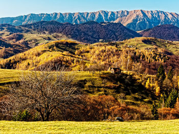 Scenic view of field against mountains