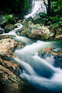 Scenic view of waterfall in forest