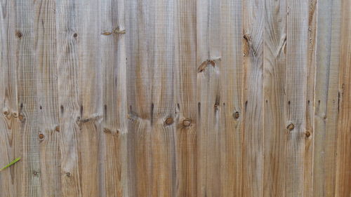 Full frame shot of wooden wall