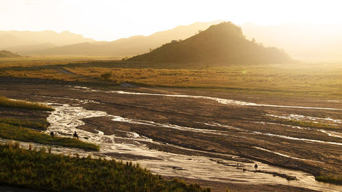 Scenic view of field against sky during sunset