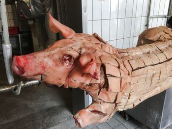 Close-up of pork hanging in slaughterhouse