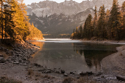 Scenic view of lake in forest during autumn