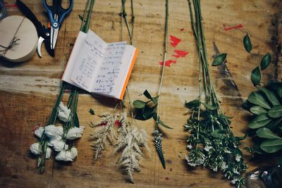 High angle view of plants with book on wooden table