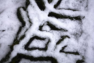 snow