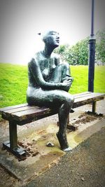 View of tree in field