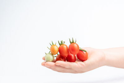Midsection of person holding fruits