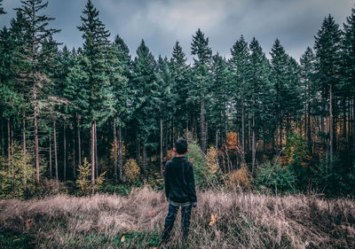 Rear view of boy standing against trees in forest