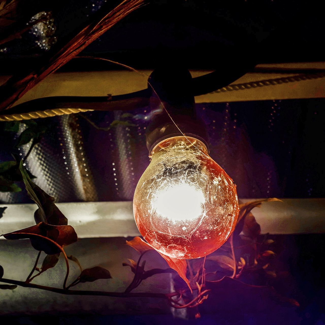 CLOSE-UP OF ILLUMINATED LIGHT BULBS