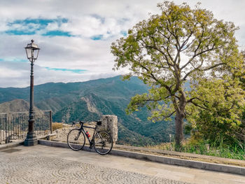 Bicycle on road by trees against sky