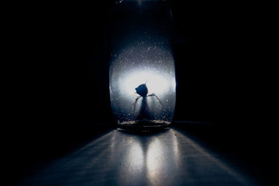 Close-up of illuminated lamp over black background