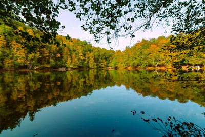 Landscape of the lake and forest at autumn. reflections of the trees on the lake. autumn background