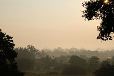 Silhouette trees against sky at dawn