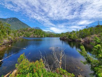 Scenic view of lake by trees against sky