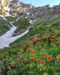 Rear view of person amidst flowering plants on land