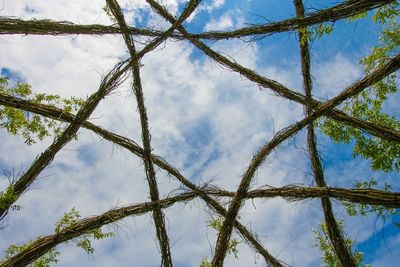 Low angle view of trees against cloudy sky