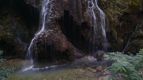 Scenic view of waterfall in forest