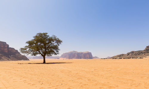 Scenic view of desert against clear sky