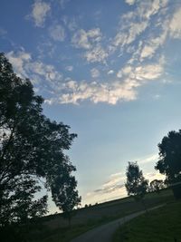 Trees on landscape against sky