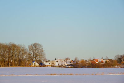 Trees on field against clear sky during winter