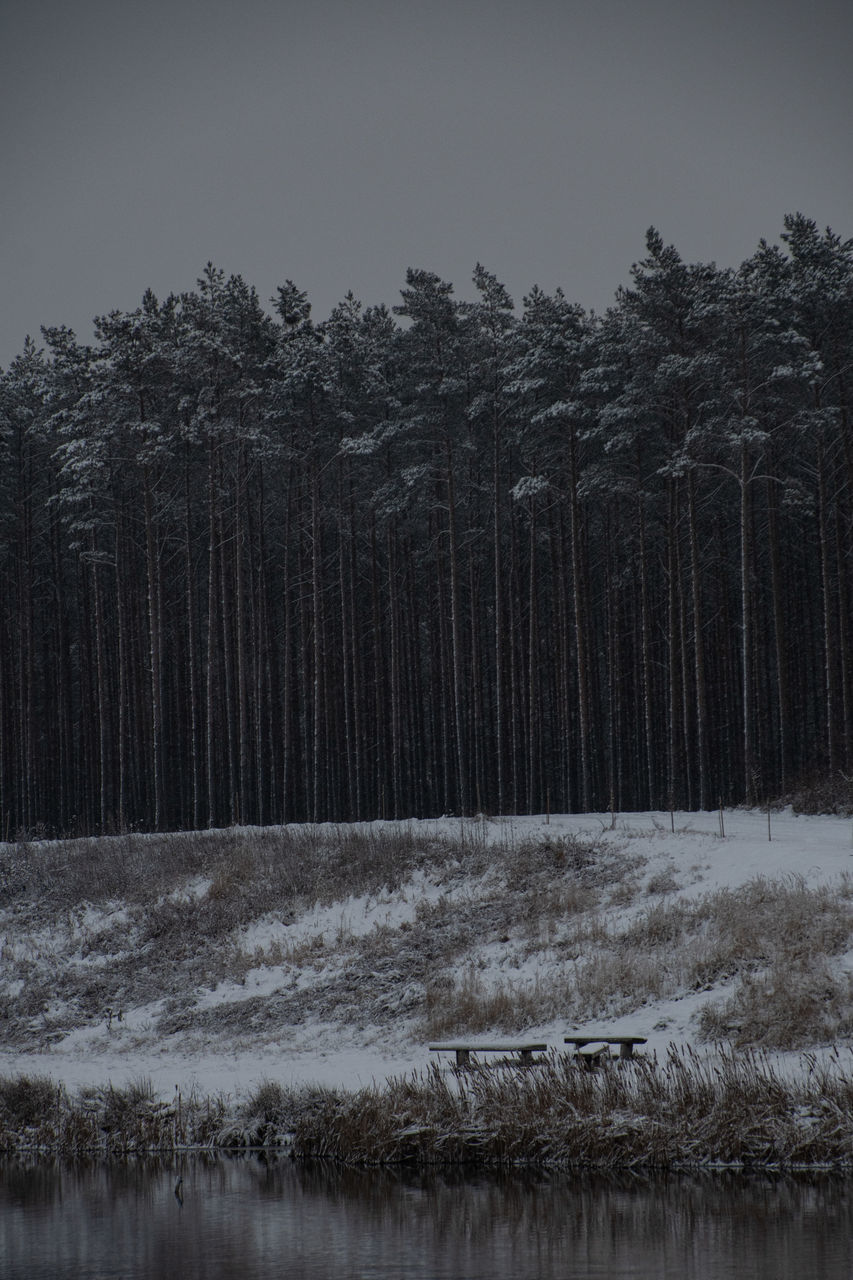 SCENIC VIEW OF WATERFALL IN FOREST AGAINST SKY DURING WINTER