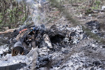 Environmental pollution, mixture of organic and inorganic domestic waste being burned in the open