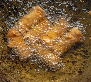 High angle view of crab in water