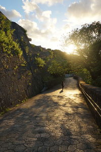 Man walking on road amidst trees against sky