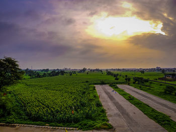 Scenic view of agricultural field against sky during sunset