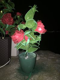 Close-up of potted plant