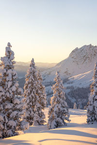 Winter sunset in the austrian alps. snow covered fir trees and mountains peaks in background