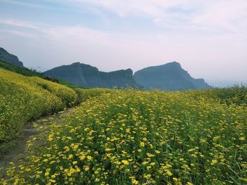 Ratan gad fort