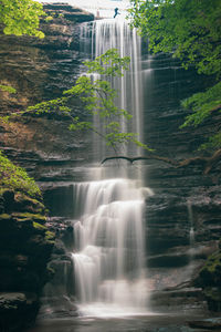 Scenic view of waterfall in forest