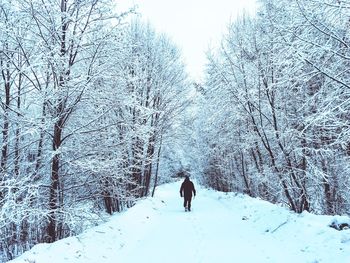 Man walking on snow covered landscape