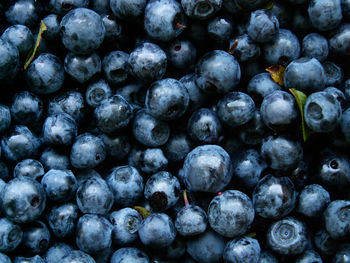 Full frame shot of blueberries