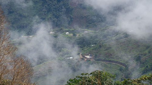 High angle view of waterfall in forest