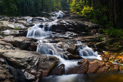 Scenic view of waterfall in forest