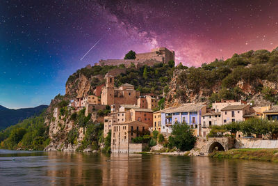 Plants by building against sky at night