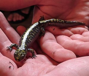 Close-up of person holding hands