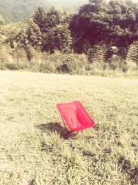 Red flower on field