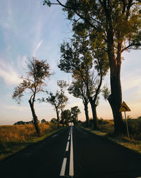 Road amidst trees against sky during sunset