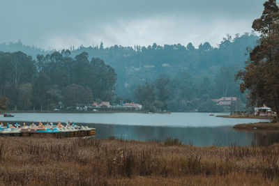 Scenic view of lake by trees against sky