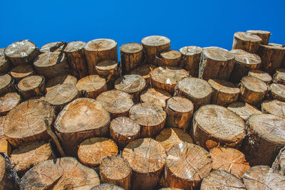 Stack of logs in forest against clear blue sky